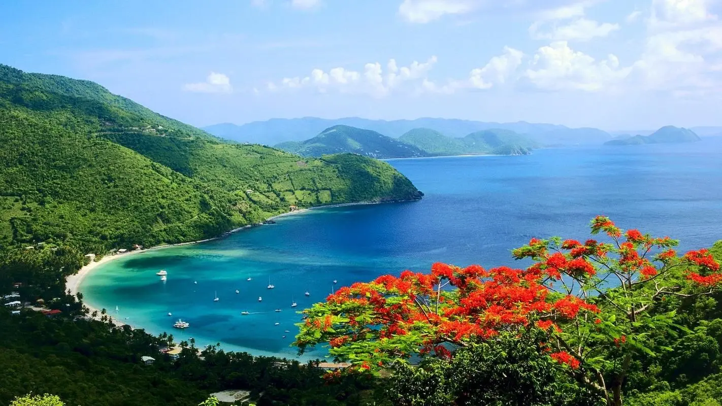 高标准独特