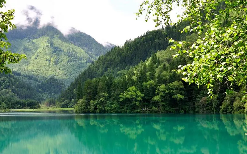 高性能智能